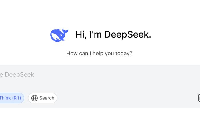 DeepSeek AI推理工具界面