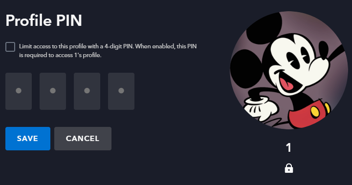 Disney Plus 个人资料PIN码输入界面